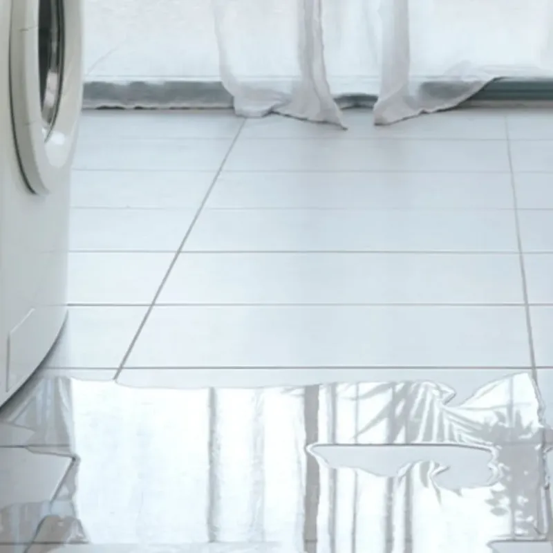 Appliance Leak Cleanup in Garland, ME
