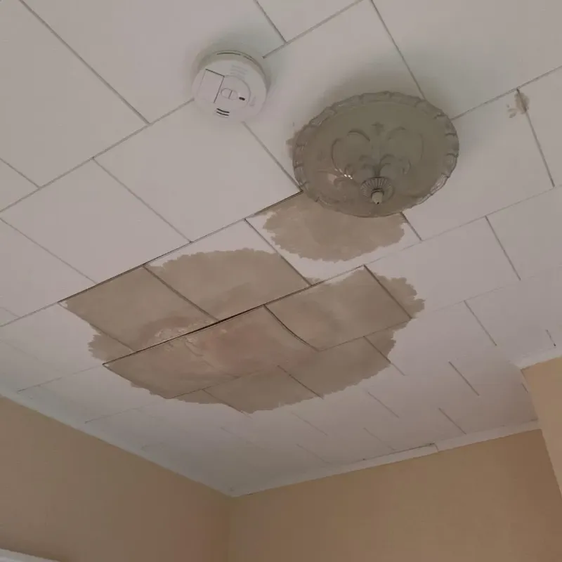 Ceiling Water Damage Repair in Garland, ME