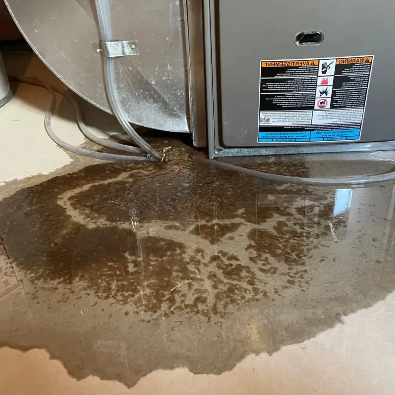 Pipe Burst and Leak Restoration in Garland, ME