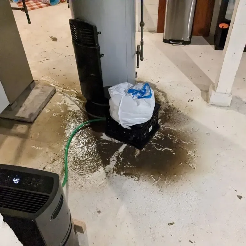 Sewage Backup Cleanup Service in Garland, ME